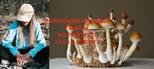 тгк Вяземский