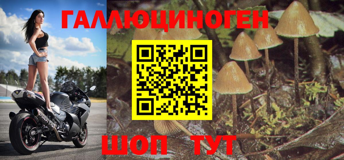 Галлюциногенные грибы прущие грибы Егорьевск