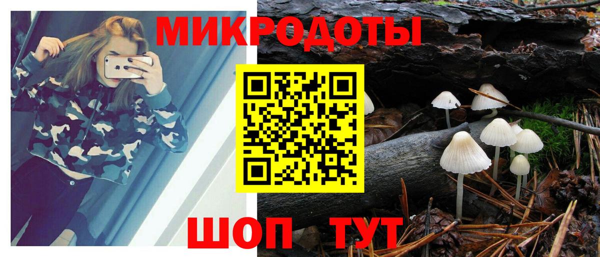 Псилоцибиновые грибы Magic Shrooms  Вход с VPN  Егорьевск 